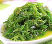 明春裙带菜估计不会比今年更便宜