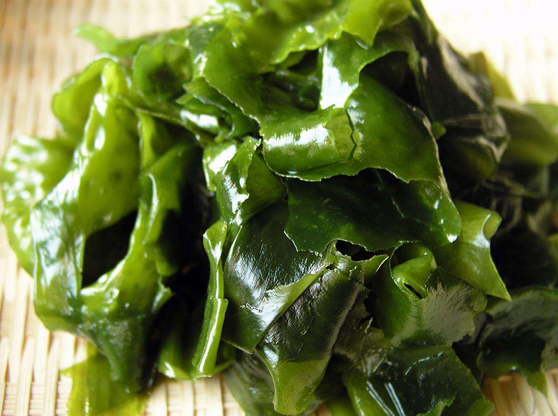 什么人群适合吃裙带菜？